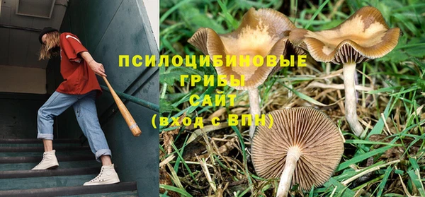 кокаин перу Дмитров